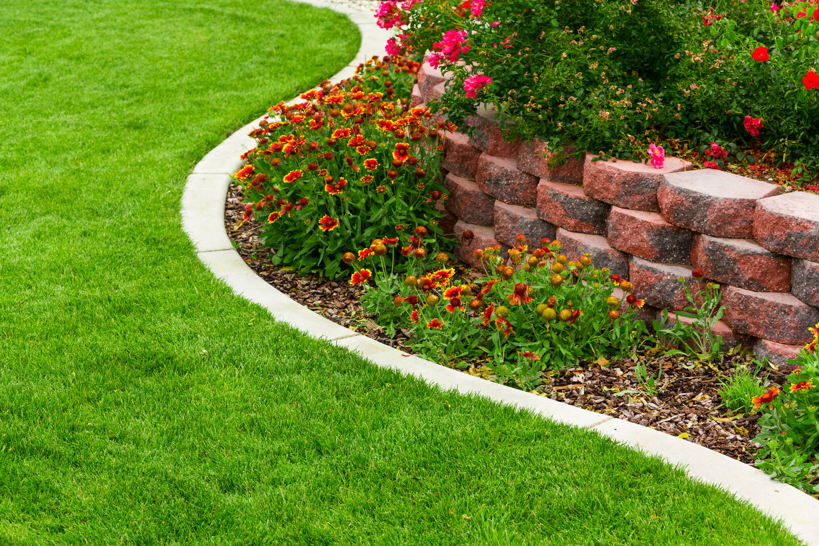 Good News Pest Solutions
