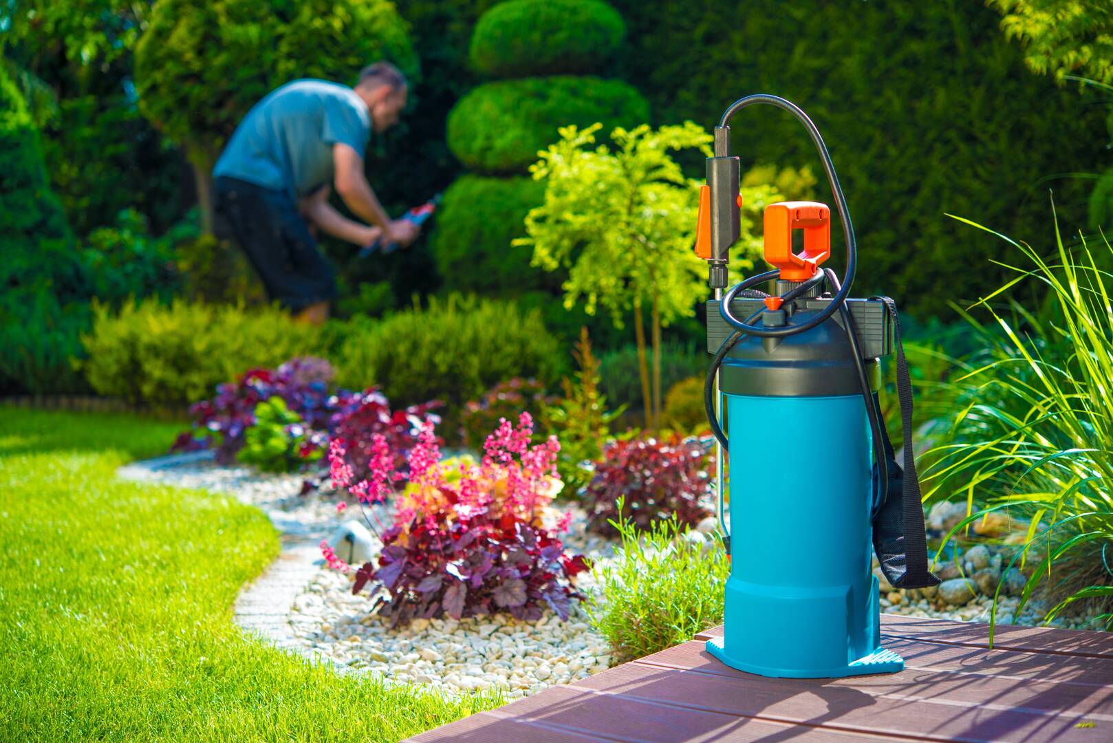 Pacific West Tree Care Inc.
