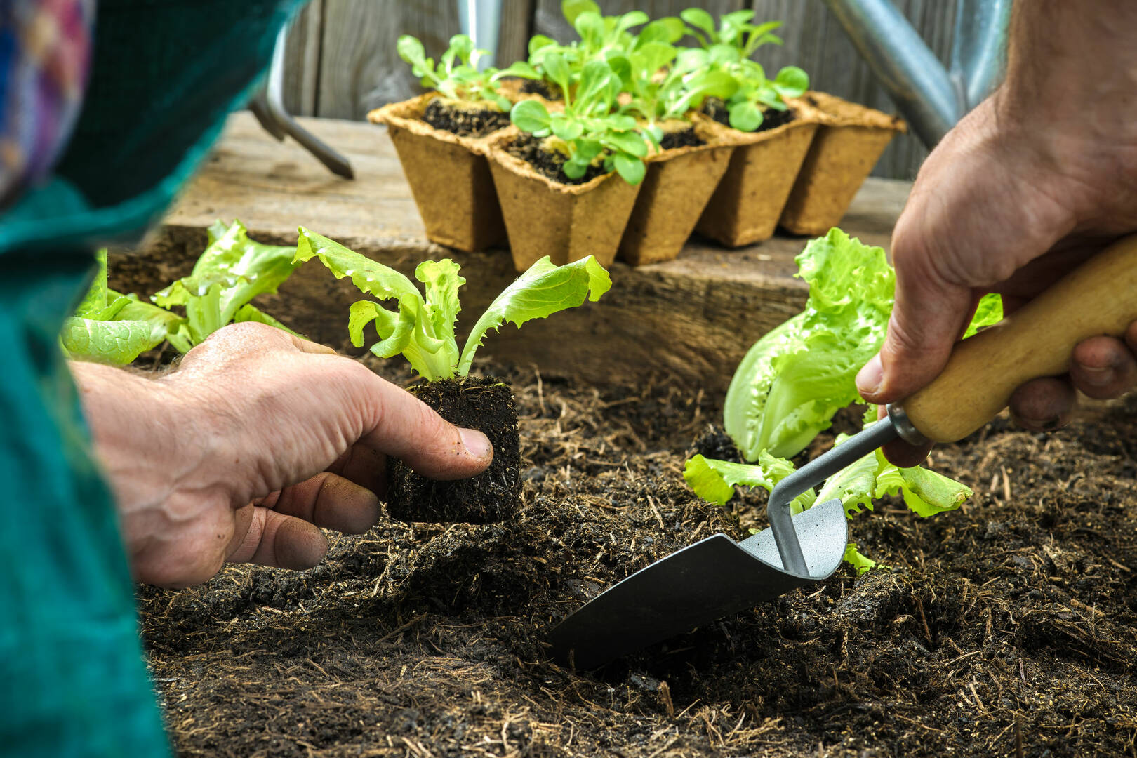 T M Landscaping