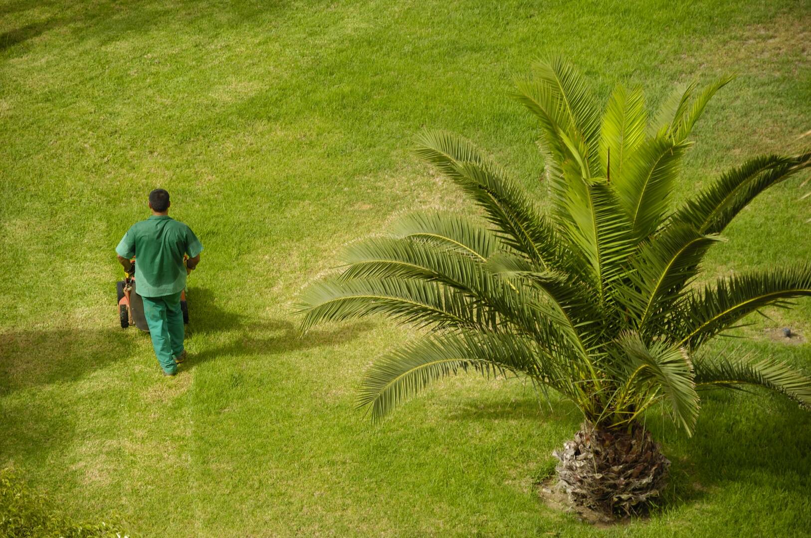 Oakley Landscaping