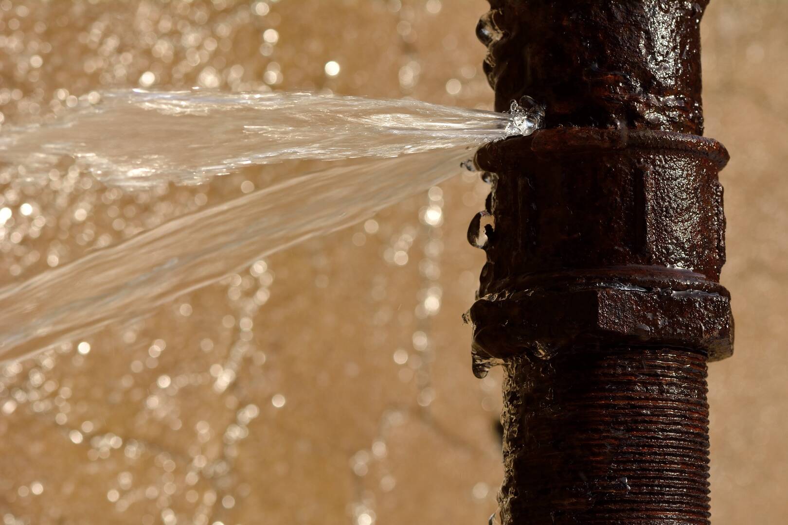 Madison Heights Plumbing