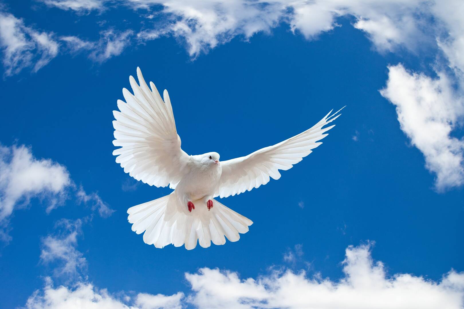 Marotti-Burns Funeral & Cremation Services