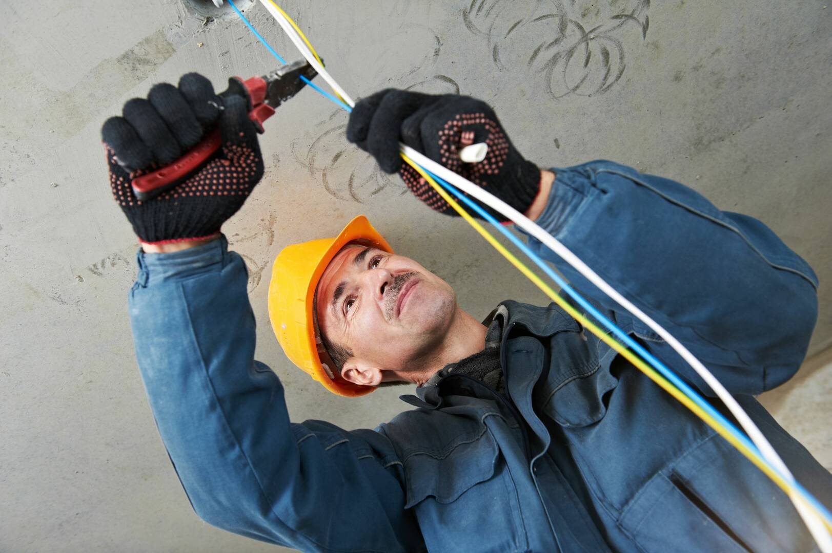 Tasman Auto Electrics