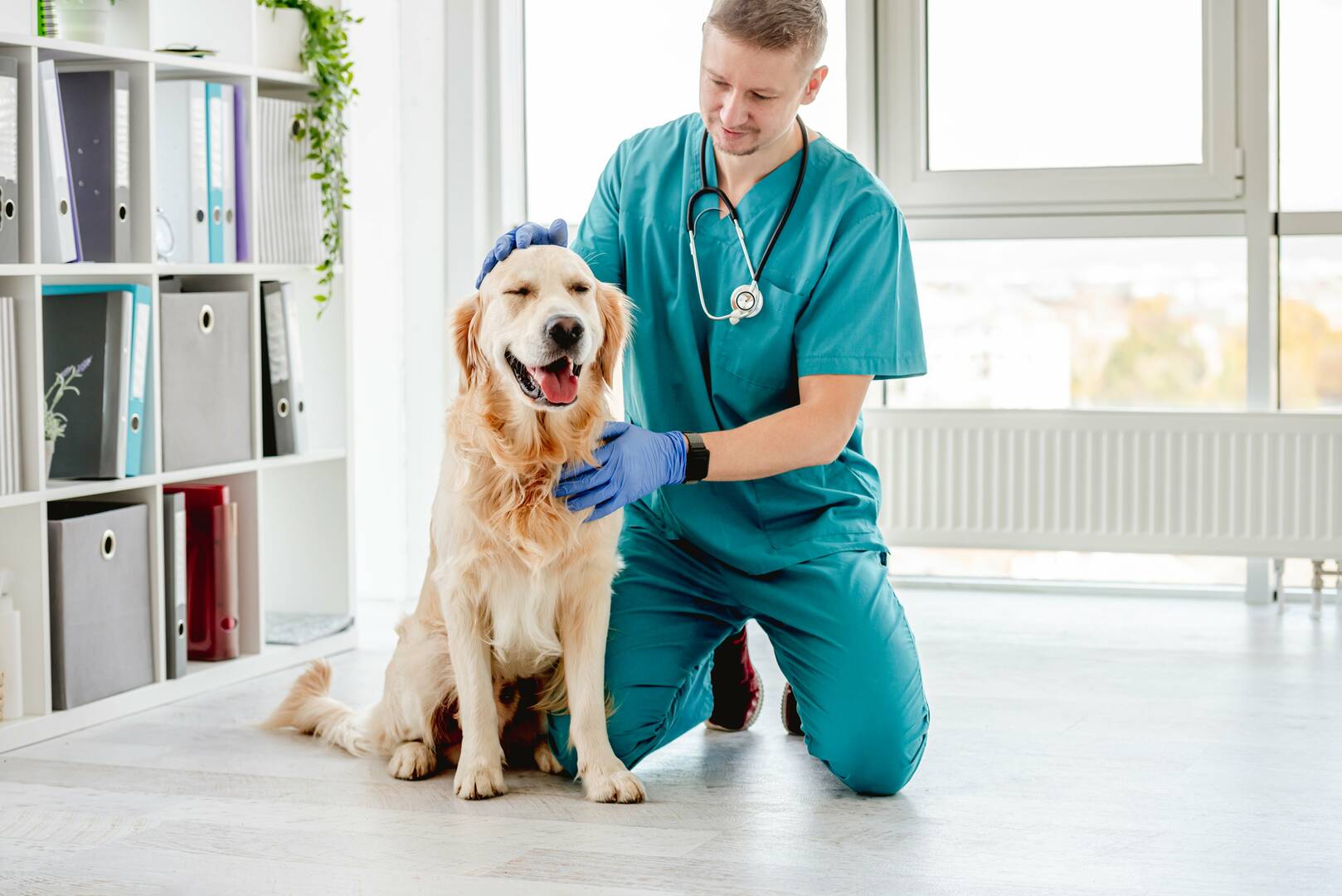 Indian Creek Veterinary Hospital