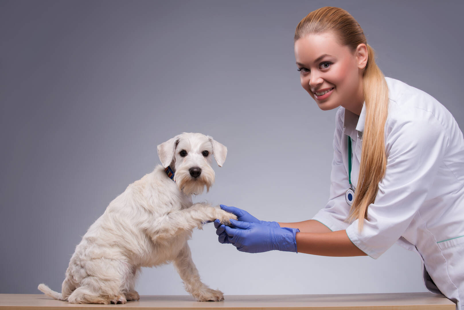 All Creatures Animal Care Center
