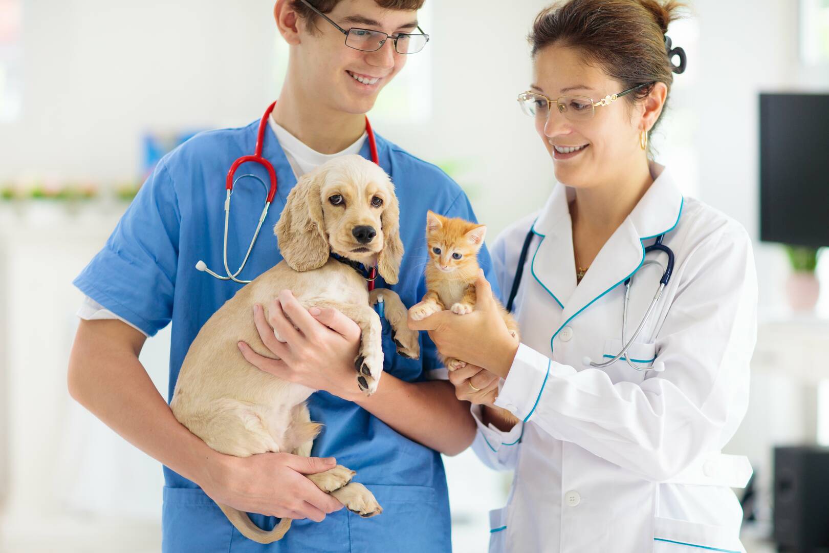 Ohana Veterinary Hospital Inc