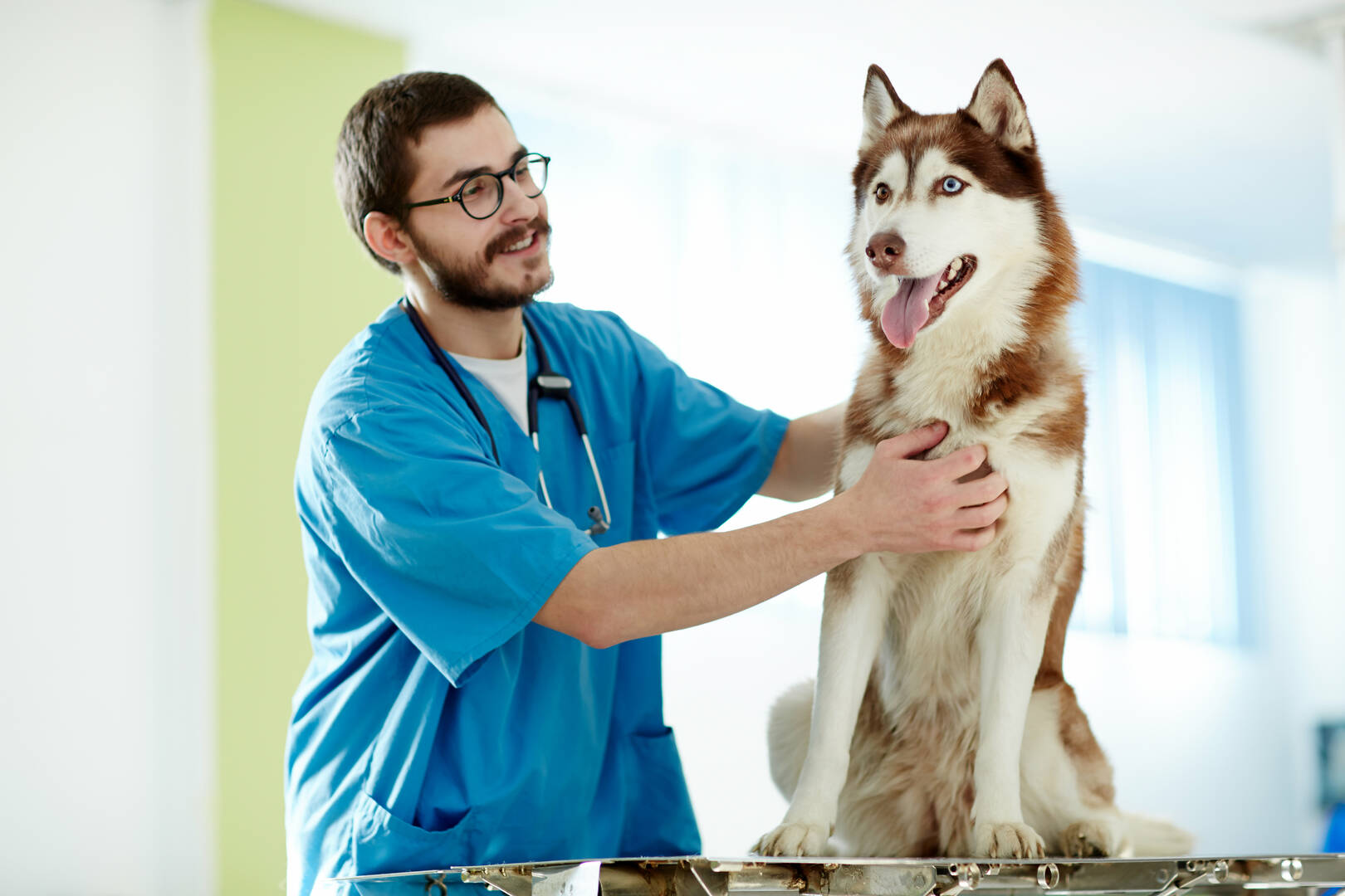 Wynnum Manly Vet Hospital