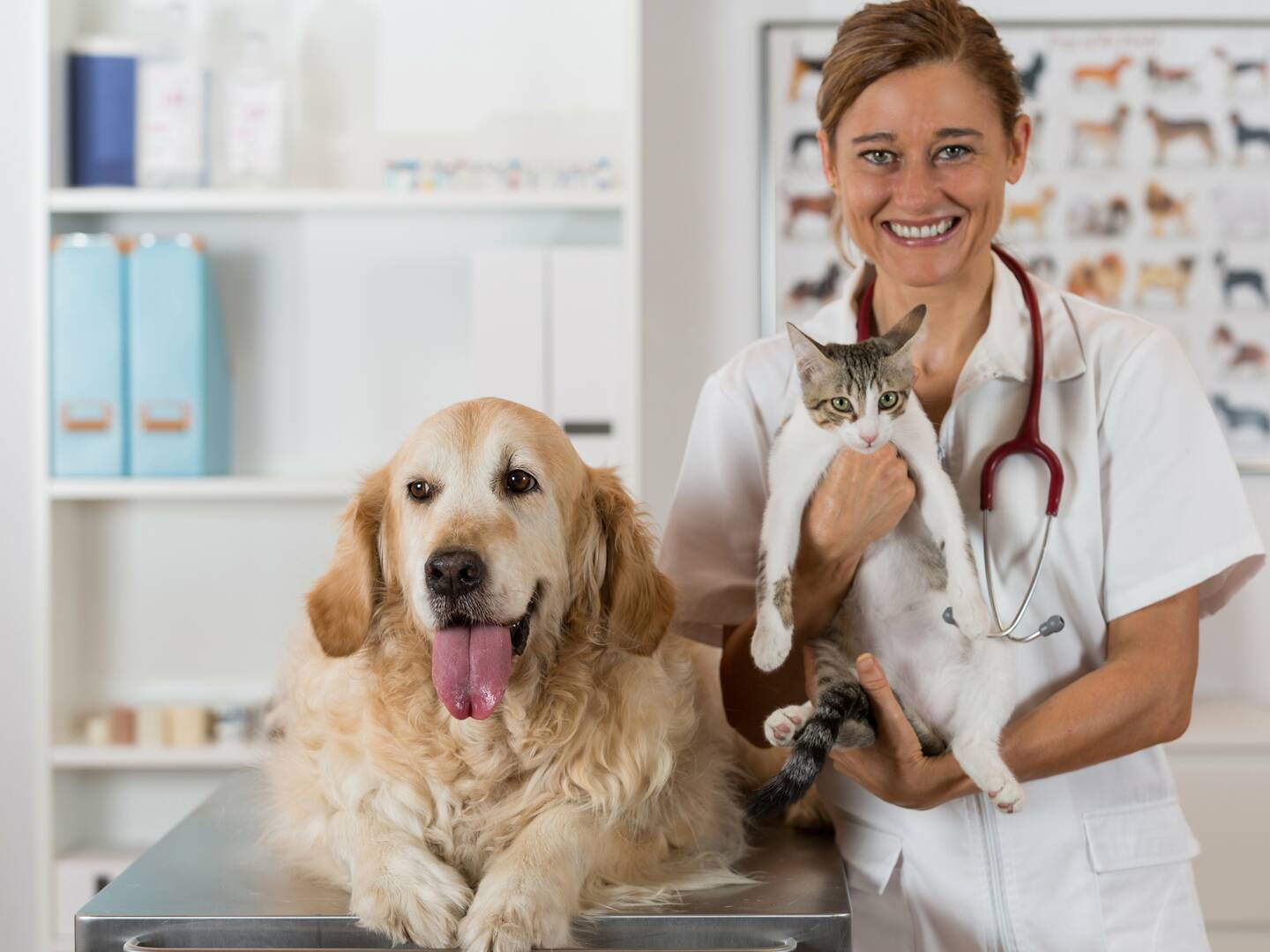 Trail-Side Tails Pet Care Boise