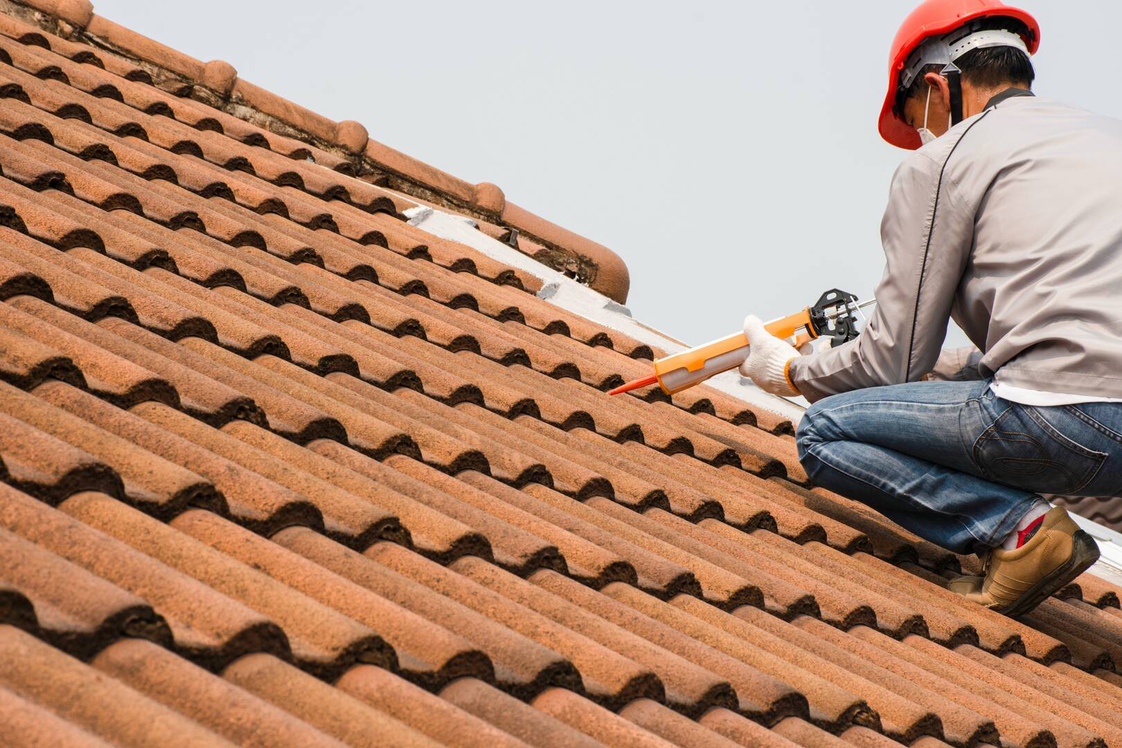 Alpha Roofing Plus