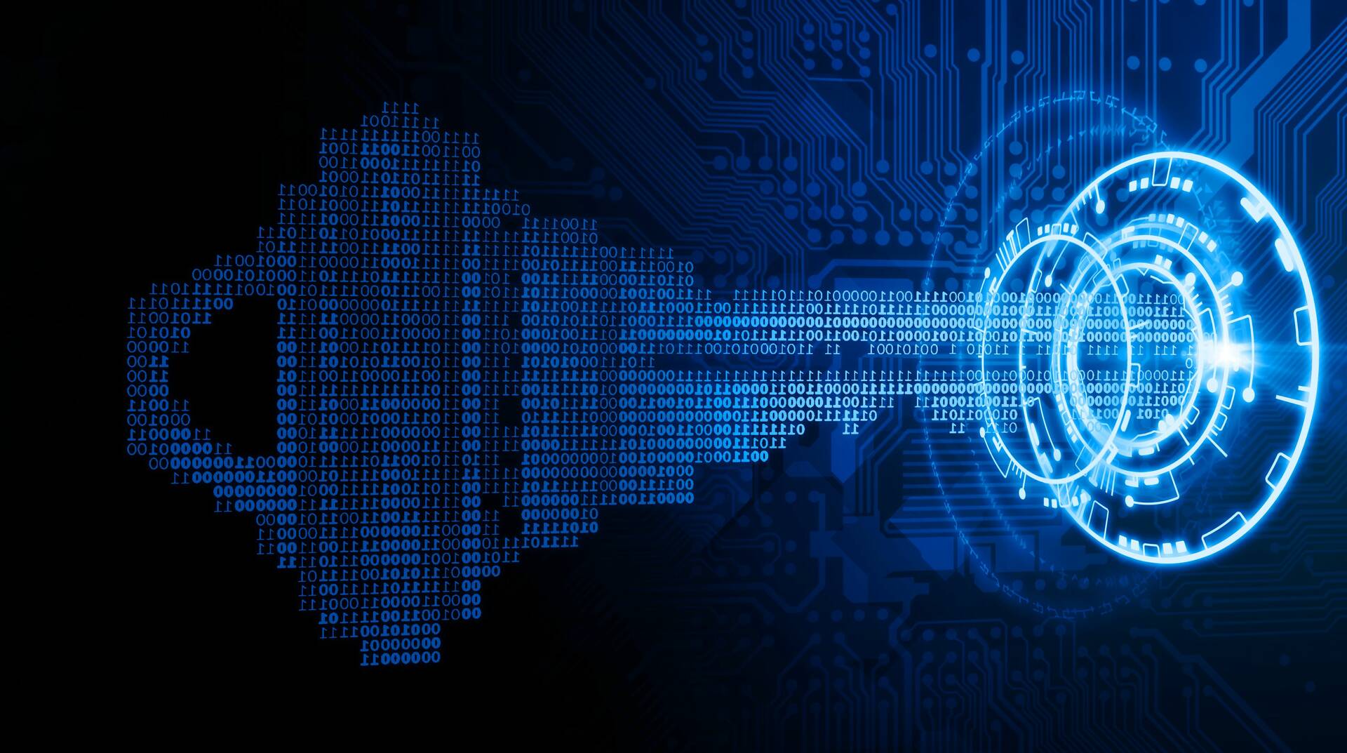 Southern California Security Centers Inc.