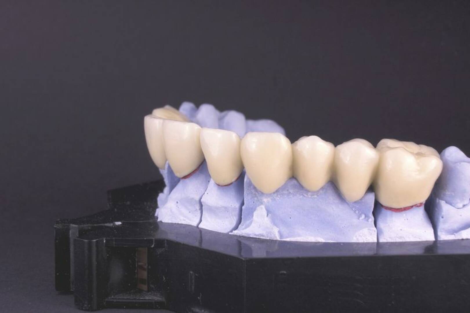 Carolyn Bronke, DDS